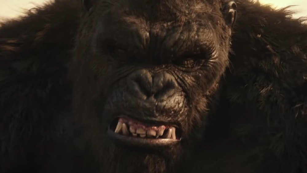 Kong bearing teeth