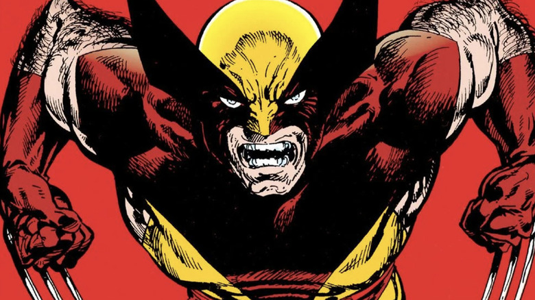 Wolverine growling