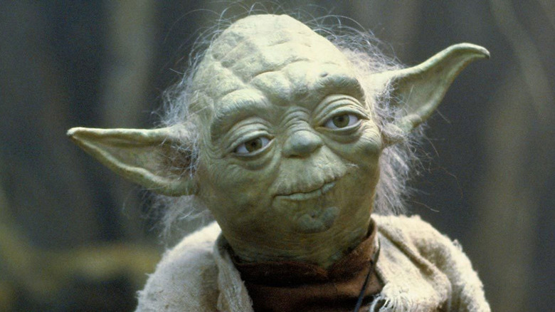 Yoda looking forward