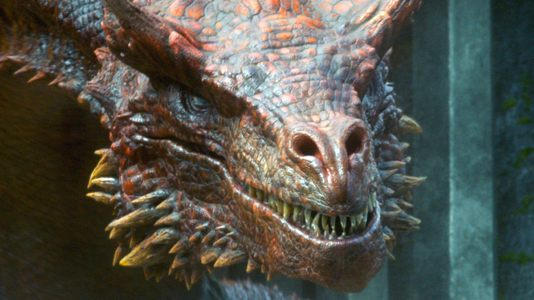 Dragon Caraxes baring teeth