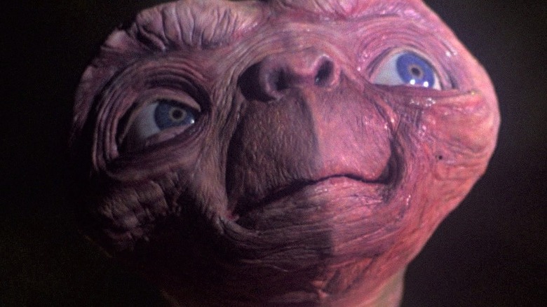E.T. looks up