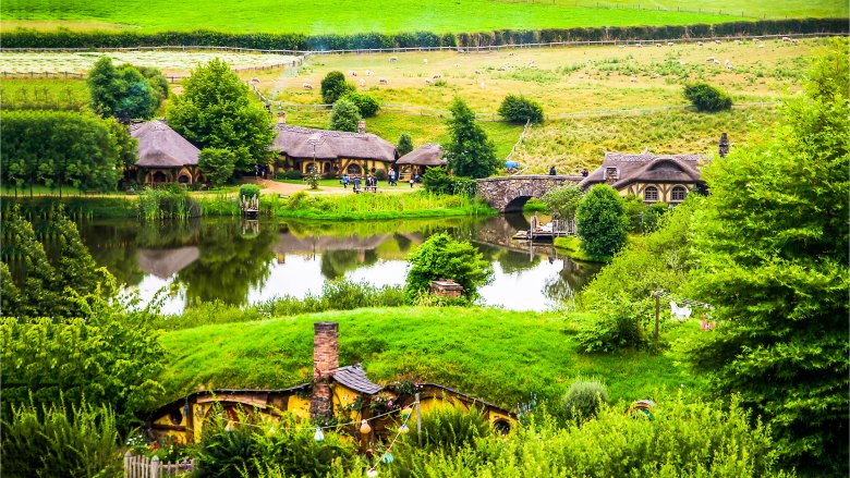 Hobbiton from the Lord of the Rings movies
