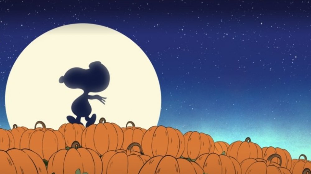 Snoopy from Peanuts in a pumpkin patch