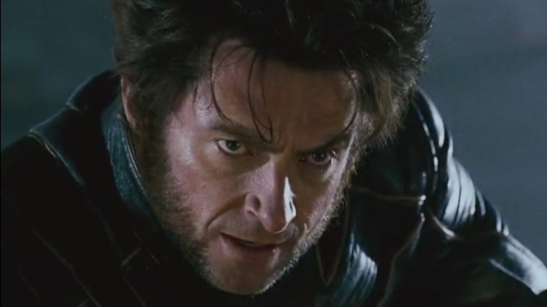 Wolverine head tilt down