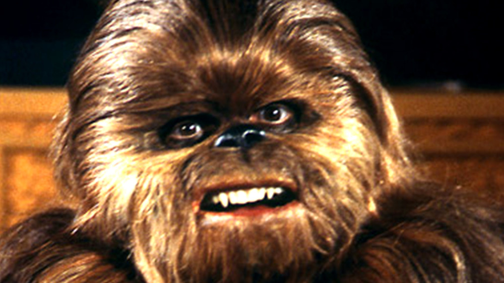 Lumpy the Wookiee on The Star Wars Holiday Special