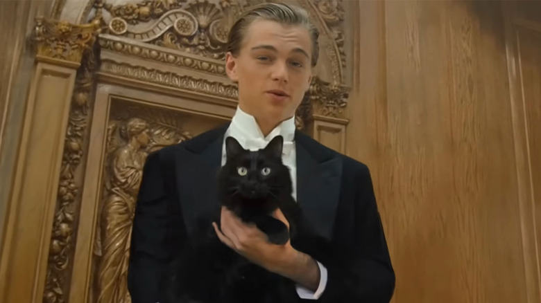 Jack holding cat