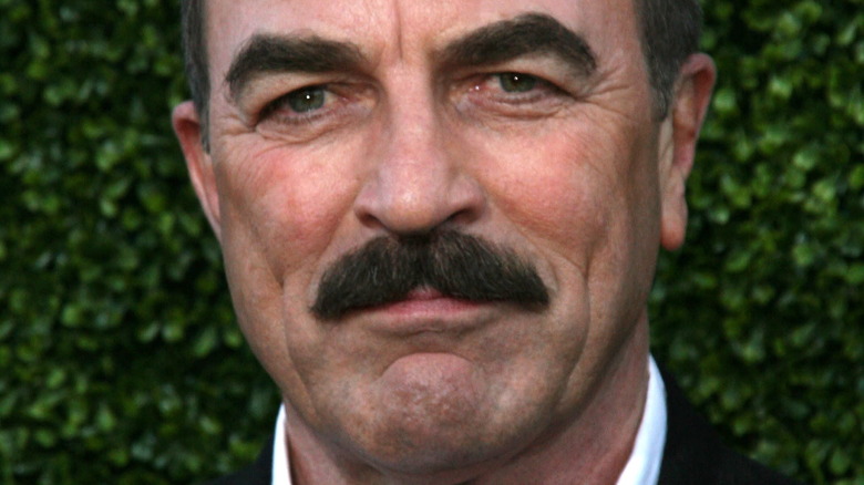 Tom Selleck photographed