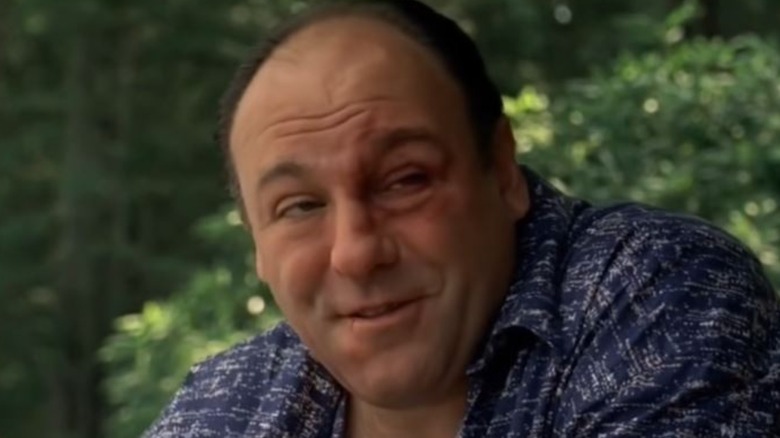 Tony Soprano smiling