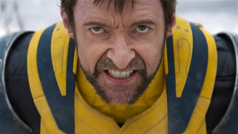 Wolverine snarling